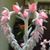 Sharon Marie Smith's profile image