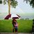 Sherry Garr's profile image