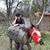 Steve Gallup's profile image