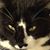 Amy Womack Walker's profile image