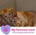Jessie Albedyll's profile image