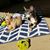 Lynda Dobbins's profile image