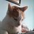 Andrea Winship's profile image