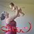 Grace Marie Ritchey-Wells's profile image