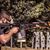 Harris Elhan's profile image