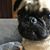 Jennifer Traficante's profile image
