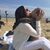 Fabiana Fiorentino's profile image