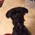 Beverly Parris's profile image