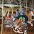 Sangeetha Tamerisa's profile image
