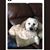 Maryann Ball's profile image