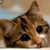 Kimberly June Dumonchelle's profile image