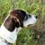 Rose Muenker's profile image