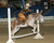 Deby C.'s profile image