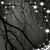 Shawna-Rae Lavertu's profile image