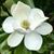 Barbara Helen Reavis's profile image
