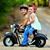 Terrie Hall Chastain's profile image