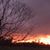 Lisa B Prevatt's profile image