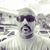 Samson Priel Kolet's profile image