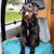 Katie Gerhardt's profile image