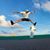 Anik Mathur's profile image