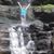 Nancy Alspach's profile image