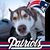 Mike Secour's profile image