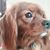 Kelly Oister's profile image