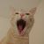 Stephen C. Butler's profile image