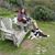 Liz Bespalko's profile image