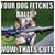 Tom Smith's profile image