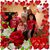 Alice Majka Wilczynski's profile image
