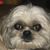 Smith Dyer Rose's profile image