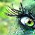 Shell Mercer's profile image