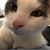 Susan Gregory's profile image