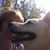 Donna Sweeney's profile image