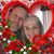 Karen Hoge's profile image