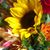 Trudy Kremser's profile image