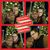 D'Andra Renee Wilson's profile image
