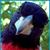 Richard Lilley's profile image