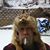 Armond Dangler's profile image