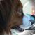 Cathy Foster Bush's profile image