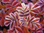 K H.'s profile image
