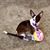 Jan Siskin's profile image