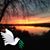 Anita Bromley's profile image