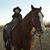 Kendra C.'s profile image