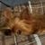 Alisha Jett Christian's profile image