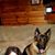 Jane Kleinfelter's profile image