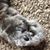 Gail Stachowski Porumb's profile image