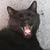 Kathrine Hutchinson's profile image