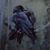 Cindy Hughes Hosman's profile image